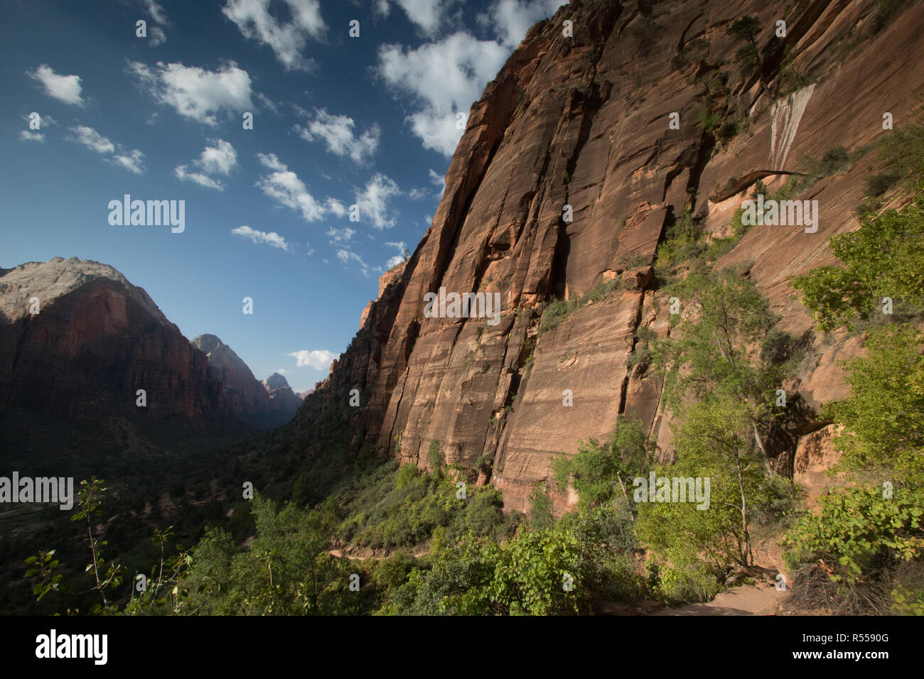 Angels Landing Zion Canyon Nationalpark Utah USA Stock Photo