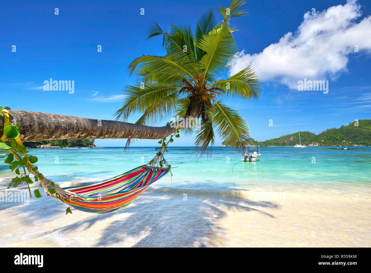 Â holidays on the beach Stock Photo
