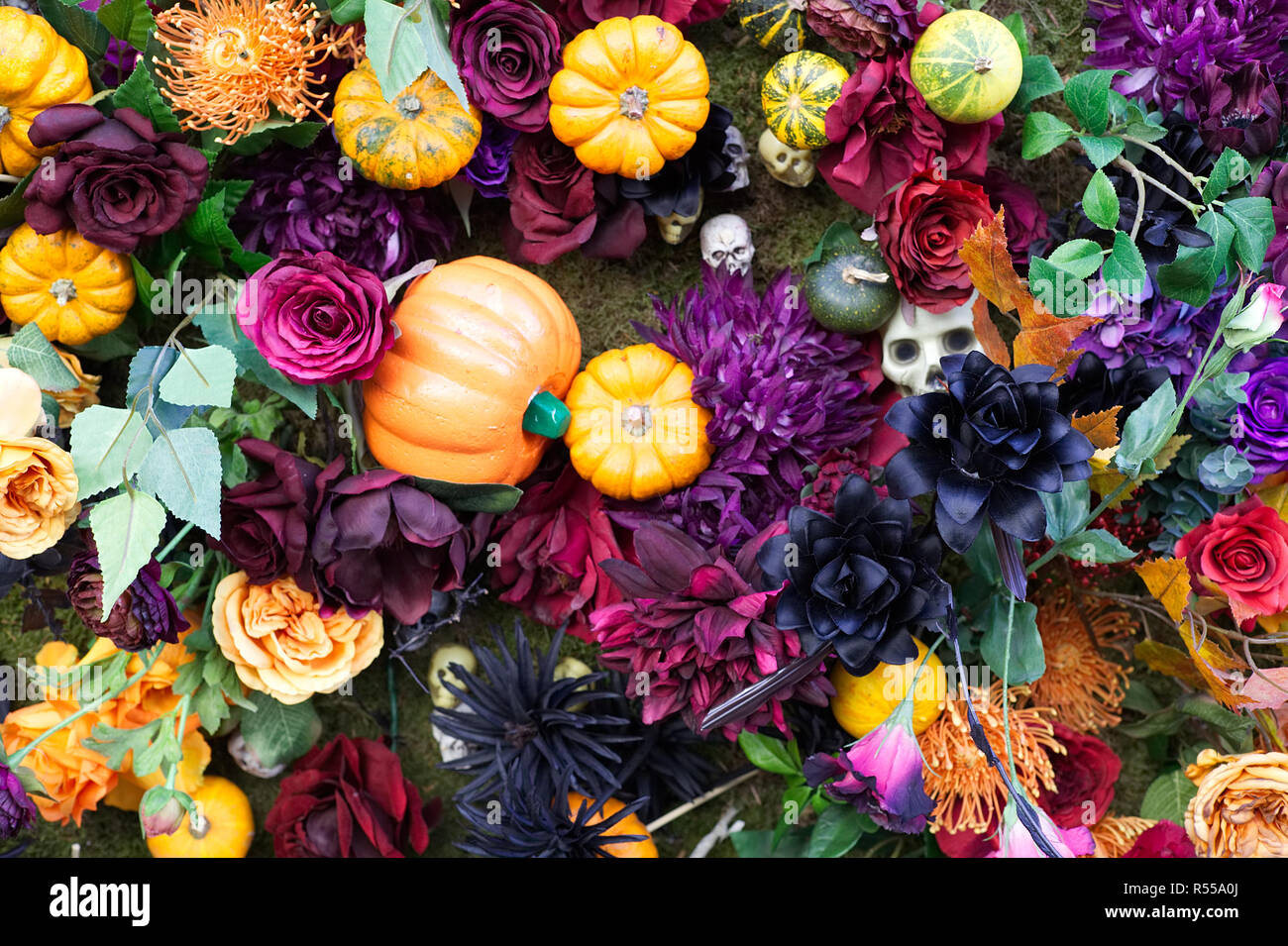 All Hallows eve flower display Stock Photo