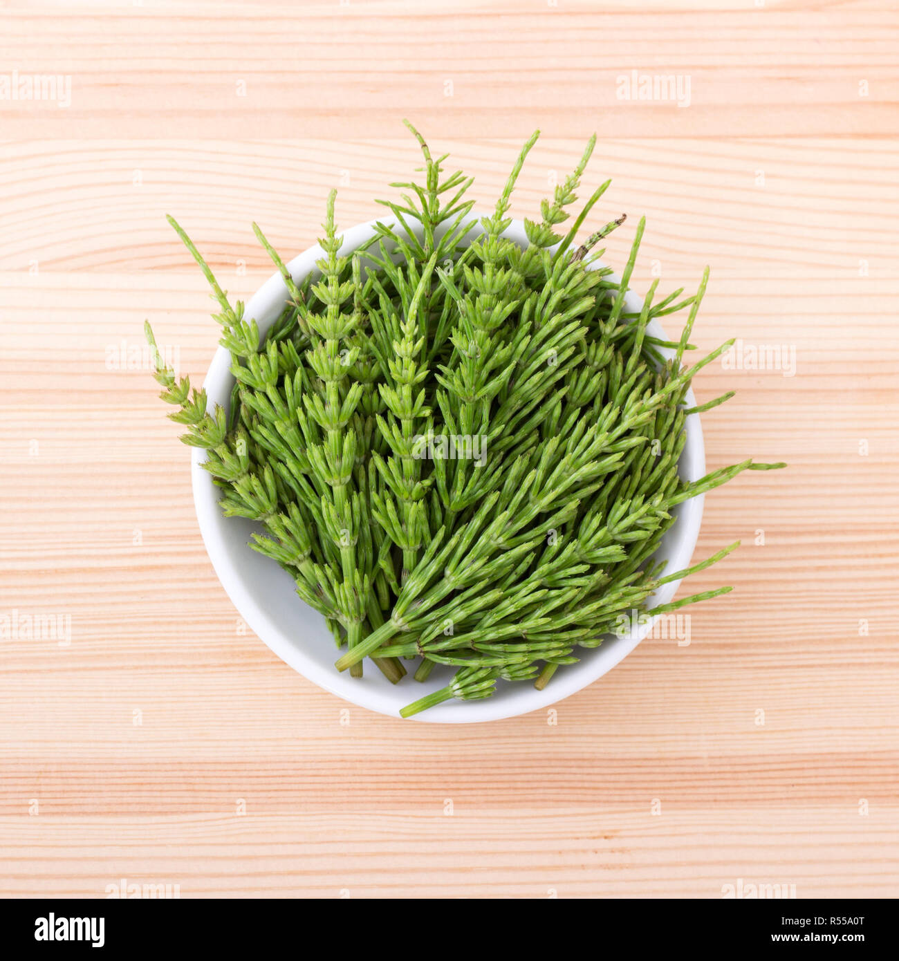 Horsetail_Mama