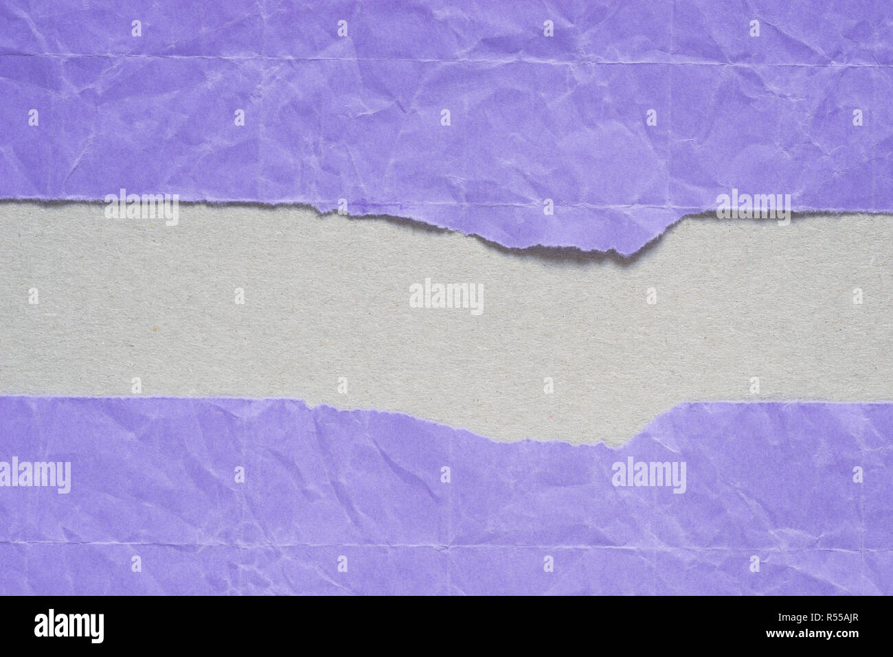 Violet Ripped Paper violet torn paper with copy space on gray background texture Stock ...