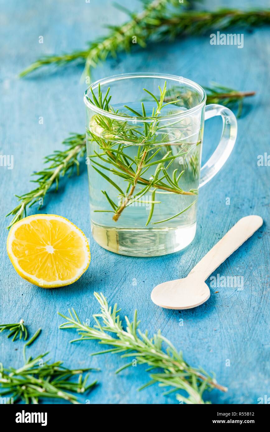 Thyme infusion (Thymus vulgaris Stock Photo Alamy
