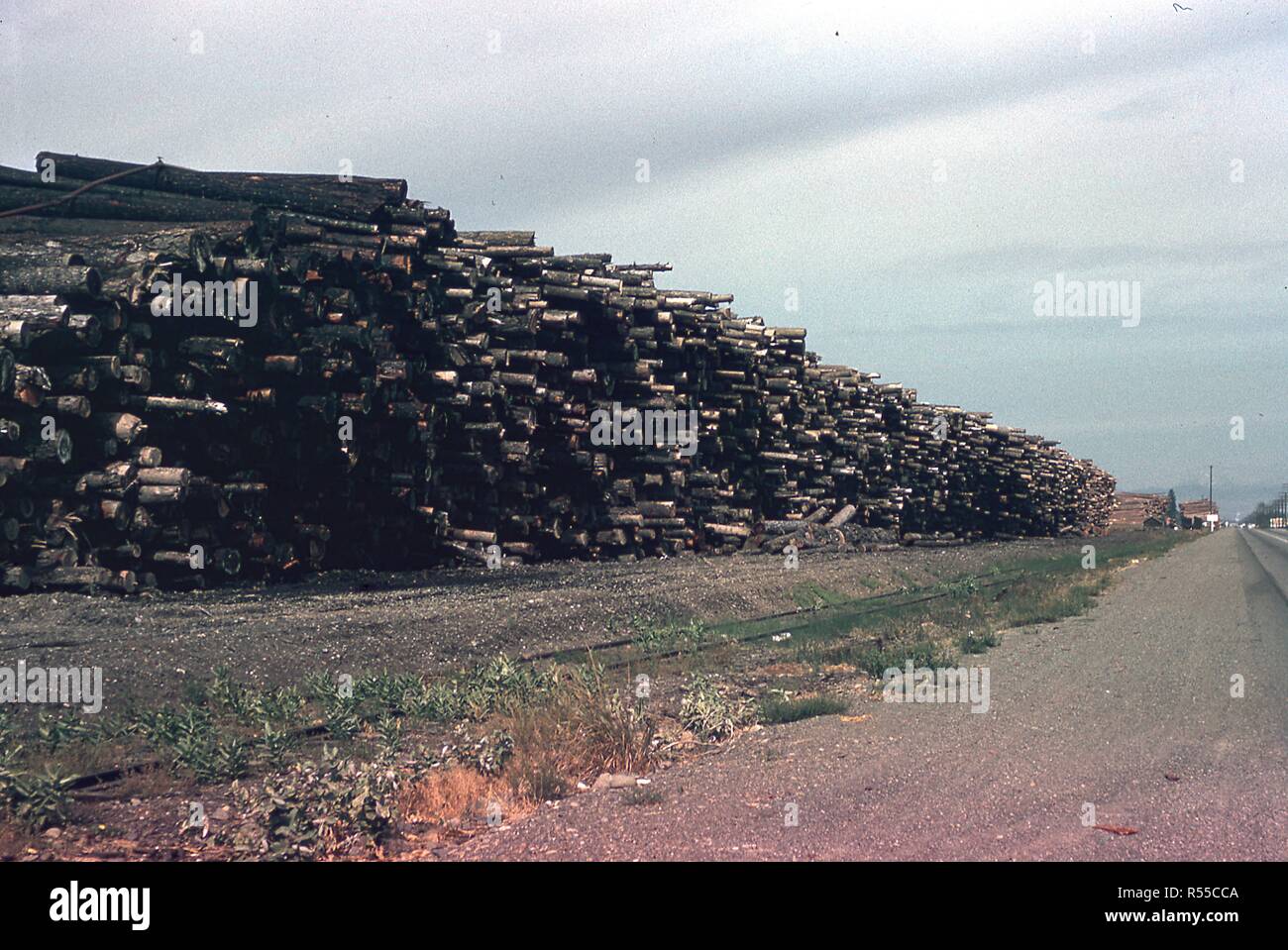 View of wet lumber stacked along the road in Lewiston, Idaho following