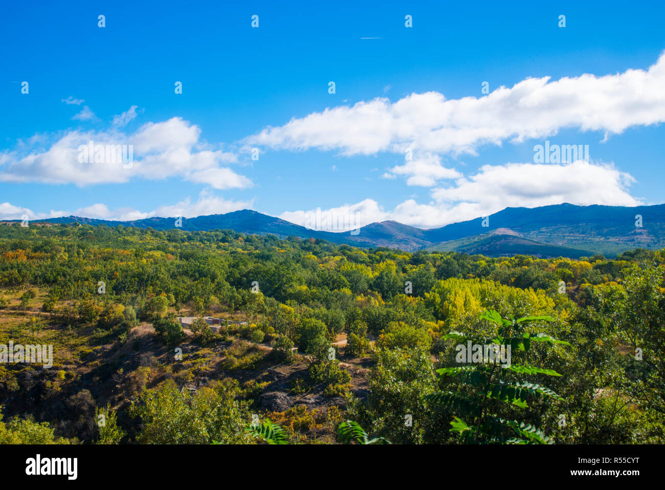 Landscape. Sierra del Rincon, Madrid province, Spain. Stock Photo
