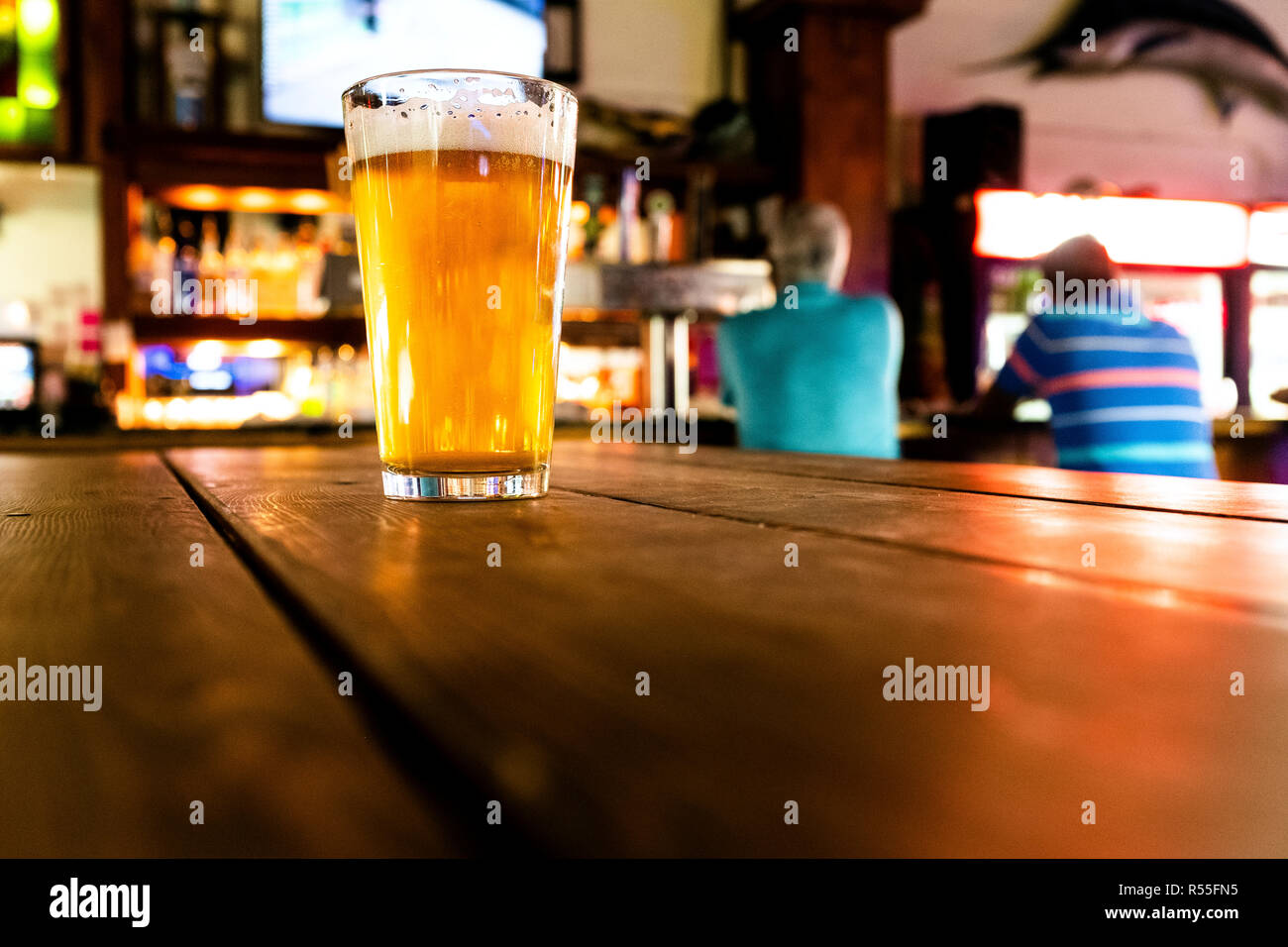 Blue goose hires stock photography and images Alamy