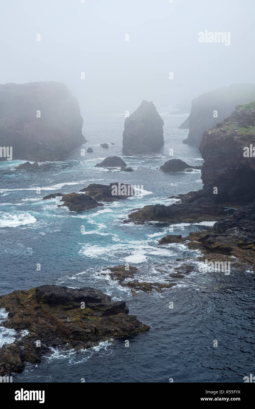 Sea stacks and sea cliffs in mist during stormy weather at Eshaness / Esha Ness, peninsula in Northmavine, Mainland, Shetland Islands, Scotland, UK Stock Photo