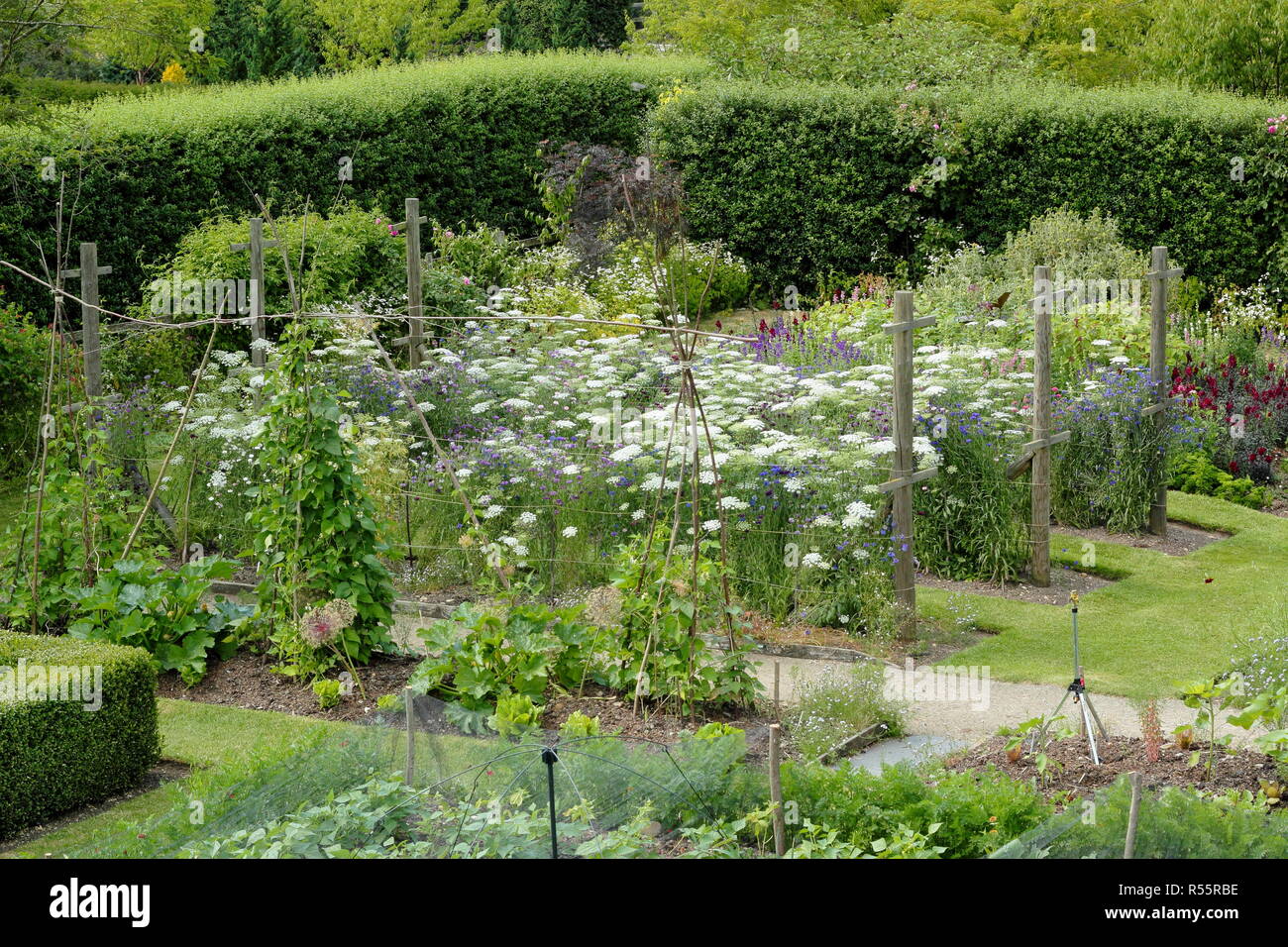 Some of the gardens at Easton Walled Gardens, Easton near Grantham,. Lincolnshire, UK. Vegetable beds and cutting garden pictured. Stock Photo