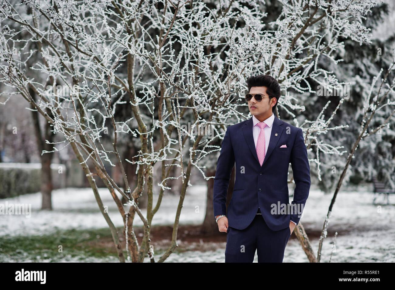Elegant indian macho man hi-res stock photography and images - Alamy