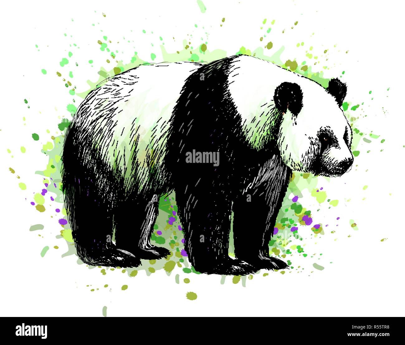 Portrait of a Panda bear from a splash of watercolor Stock Vector