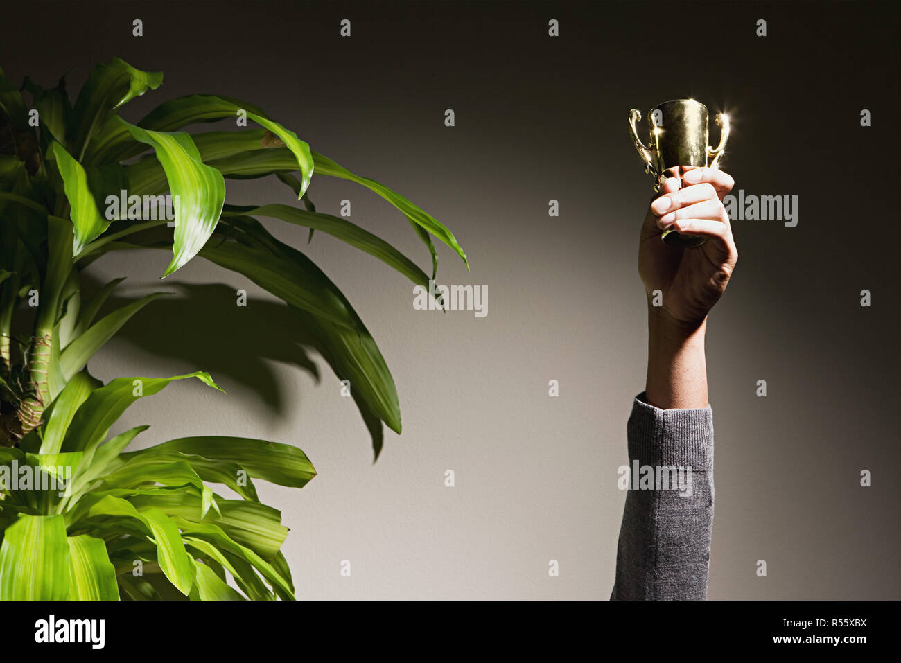 One woman arm up career success hi-res stock photography and images - Alamy