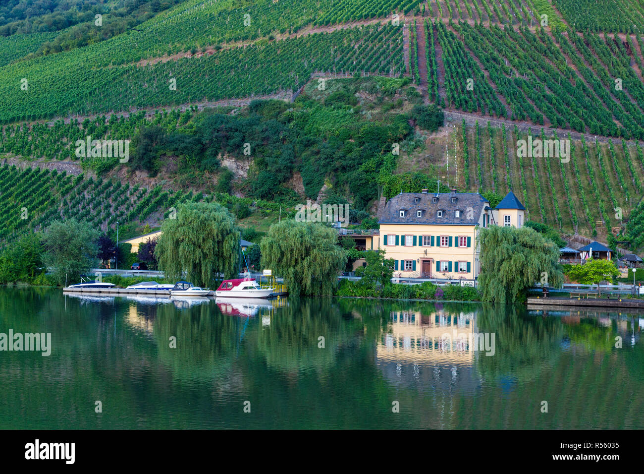 Germany.  Afternoon Scene along the Moselle River near Kesten. Stock Photo