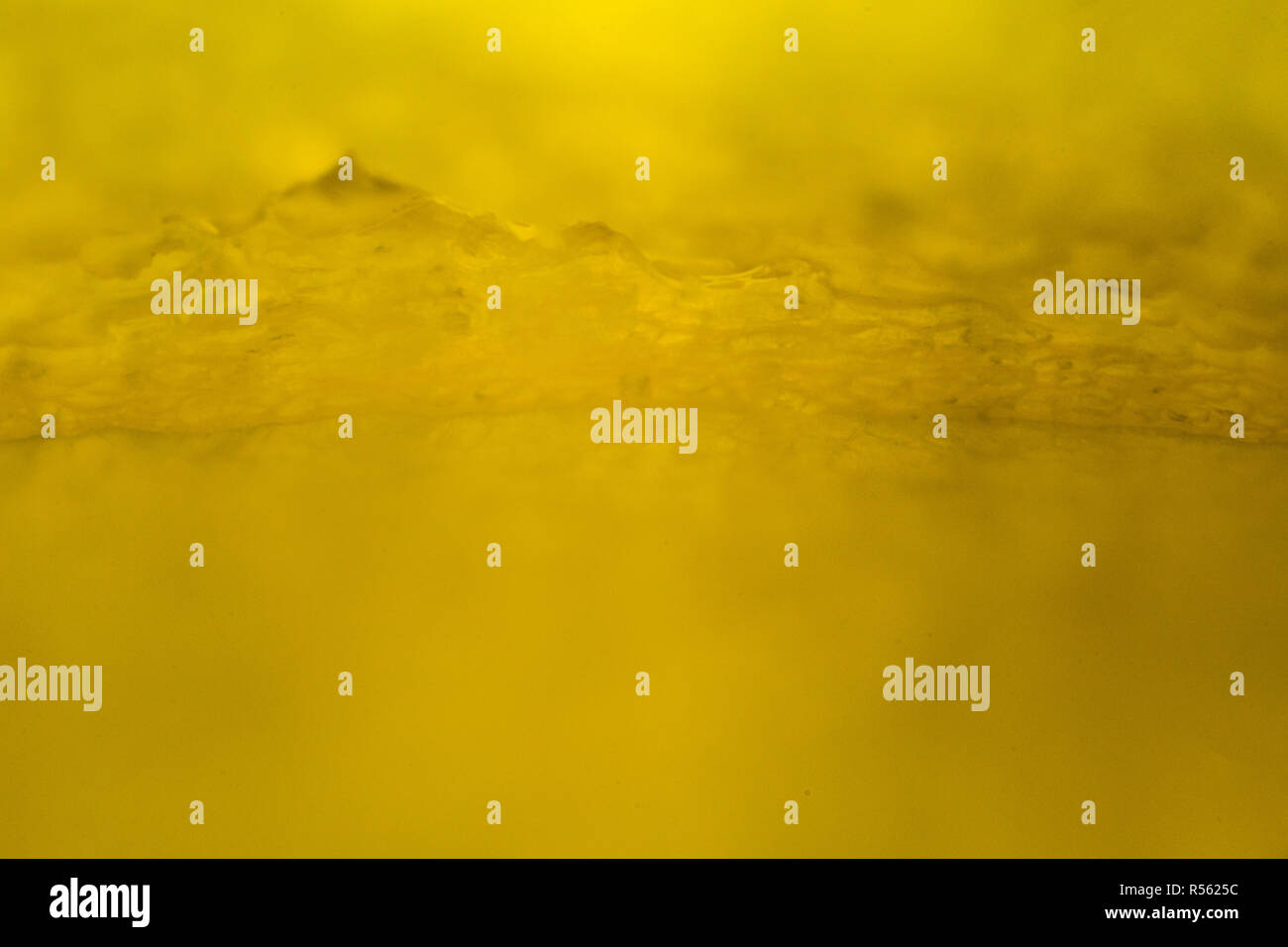 Yellow pepper under the microscope Stock Photo Alamy