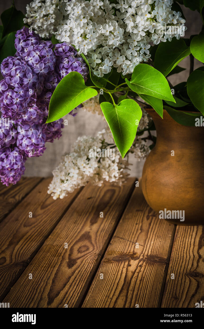 Still-life with a bouquet of lilacs Stock Photo - Alamy