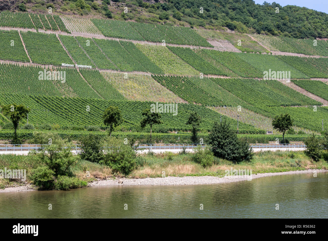 Germany.  Vineyards on Steep Hills along the Moselle near Müden. Stock Photo