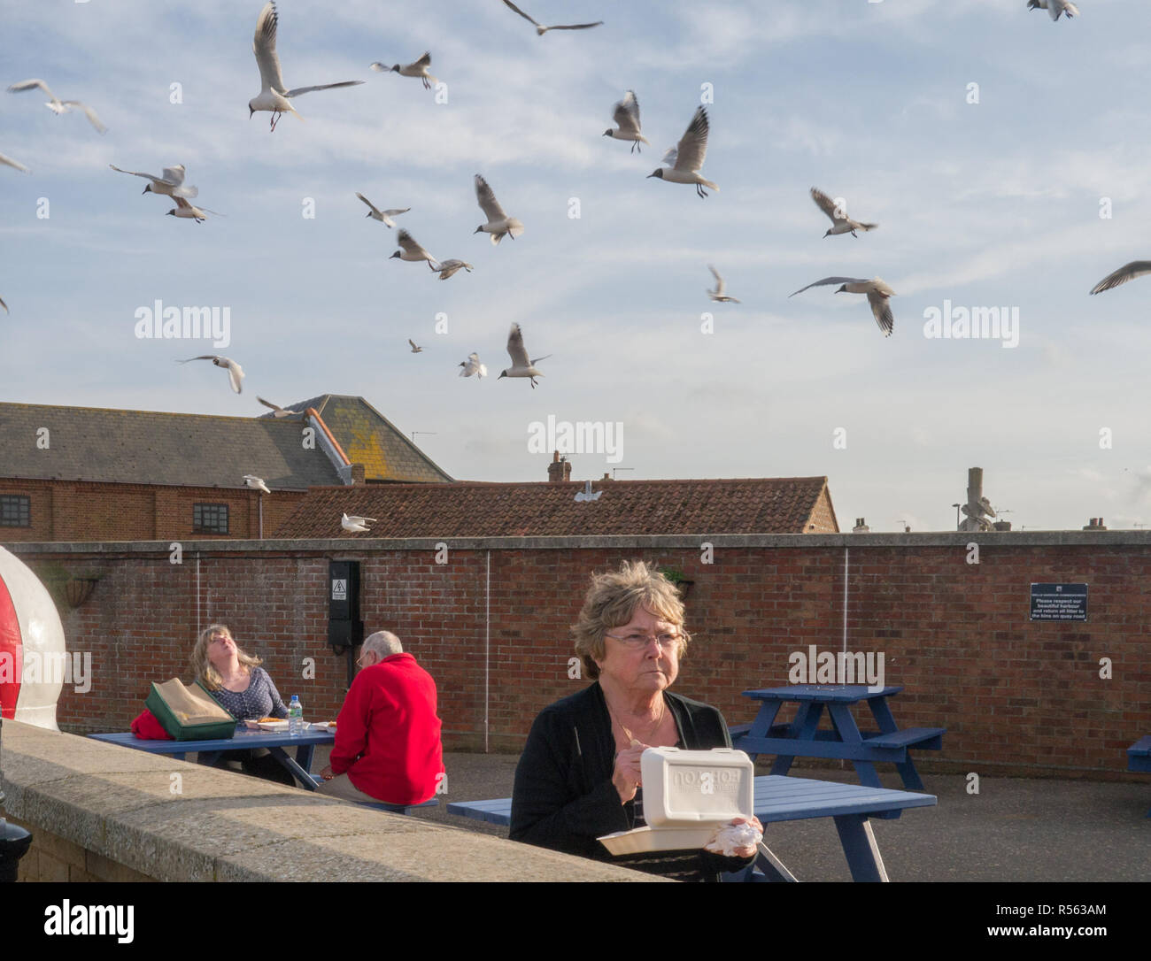 Norfolk, UK - April 26, 2014:  People eating their lunch outdoors and being attacked by seagulls. Stock Photo