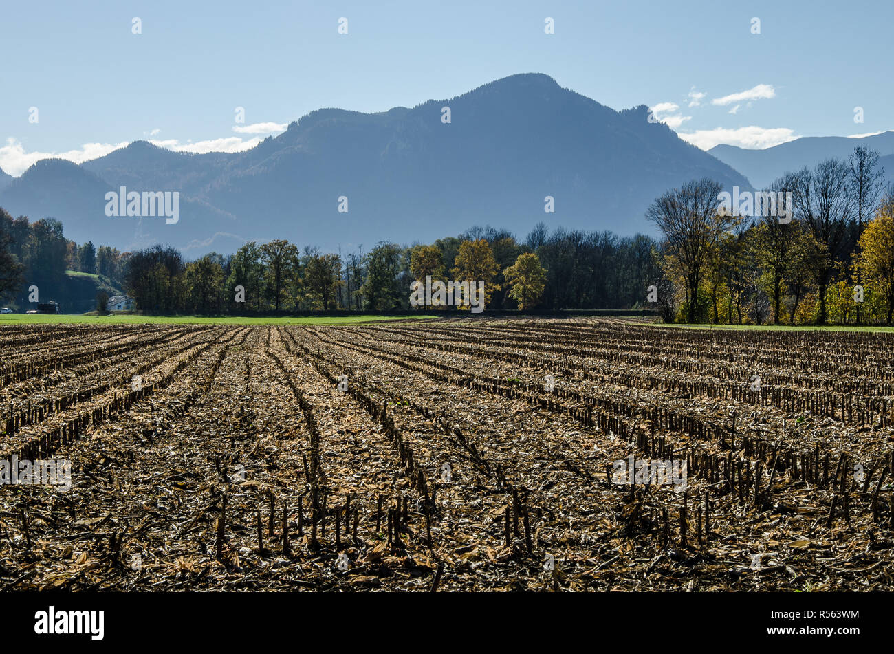 A ploughed field at the alpine upland of Bavaria Stock Photo