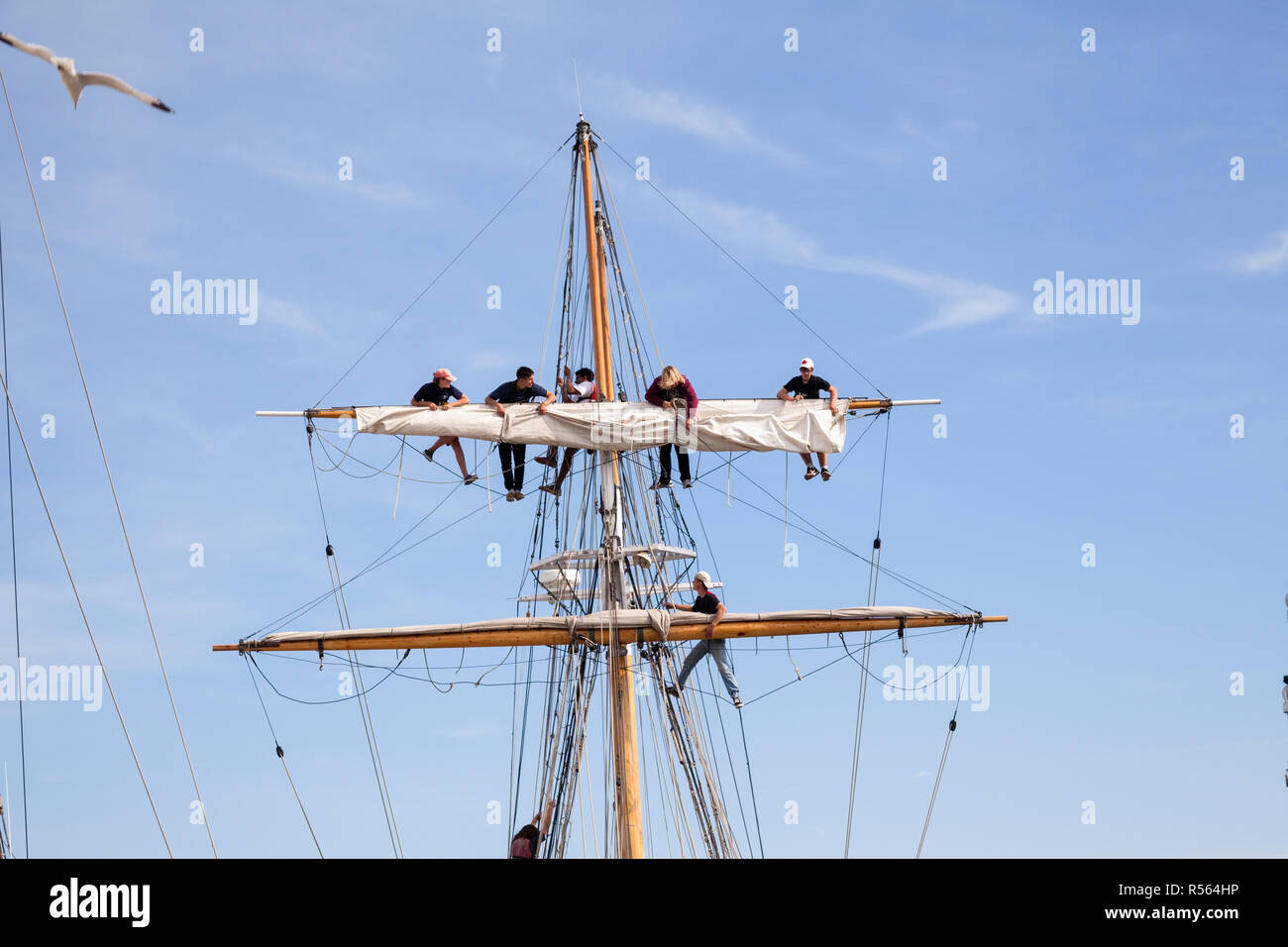 Crew members fixing the sail of the TS Playfair which is a  traditionally-rigged brigantine training ship owned by Toronto Brigantine Inc. City of Tor Stock Photo