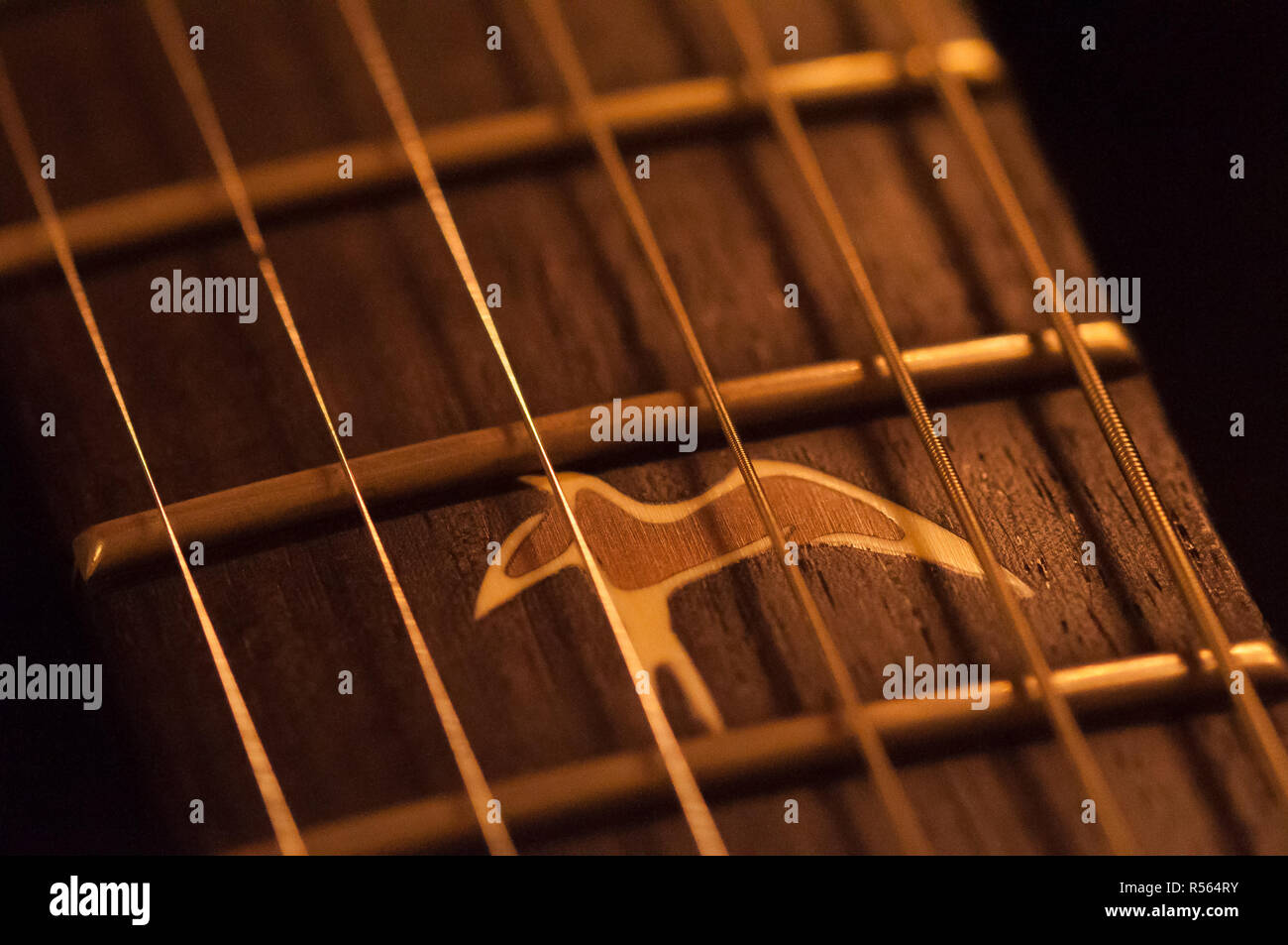 western acoustic guitar closeup strings, fingerboard Stock Photo Alamy