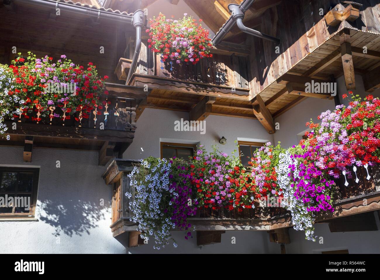 Balkon flowers hi-res stock photography and images - Page 2 - Alamy