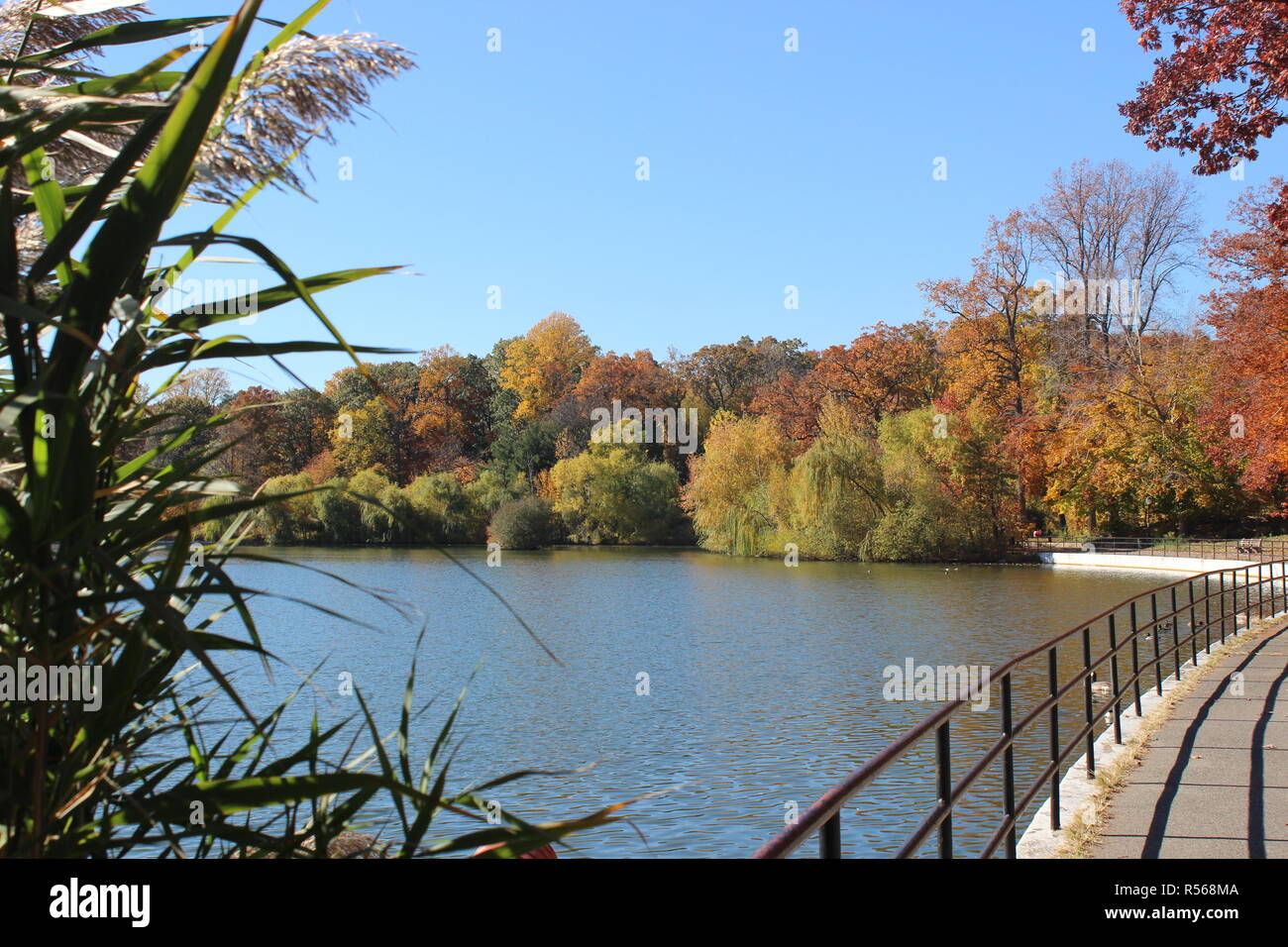 Kissena Park Lake, Queens, New York Stock Photo - Alamy