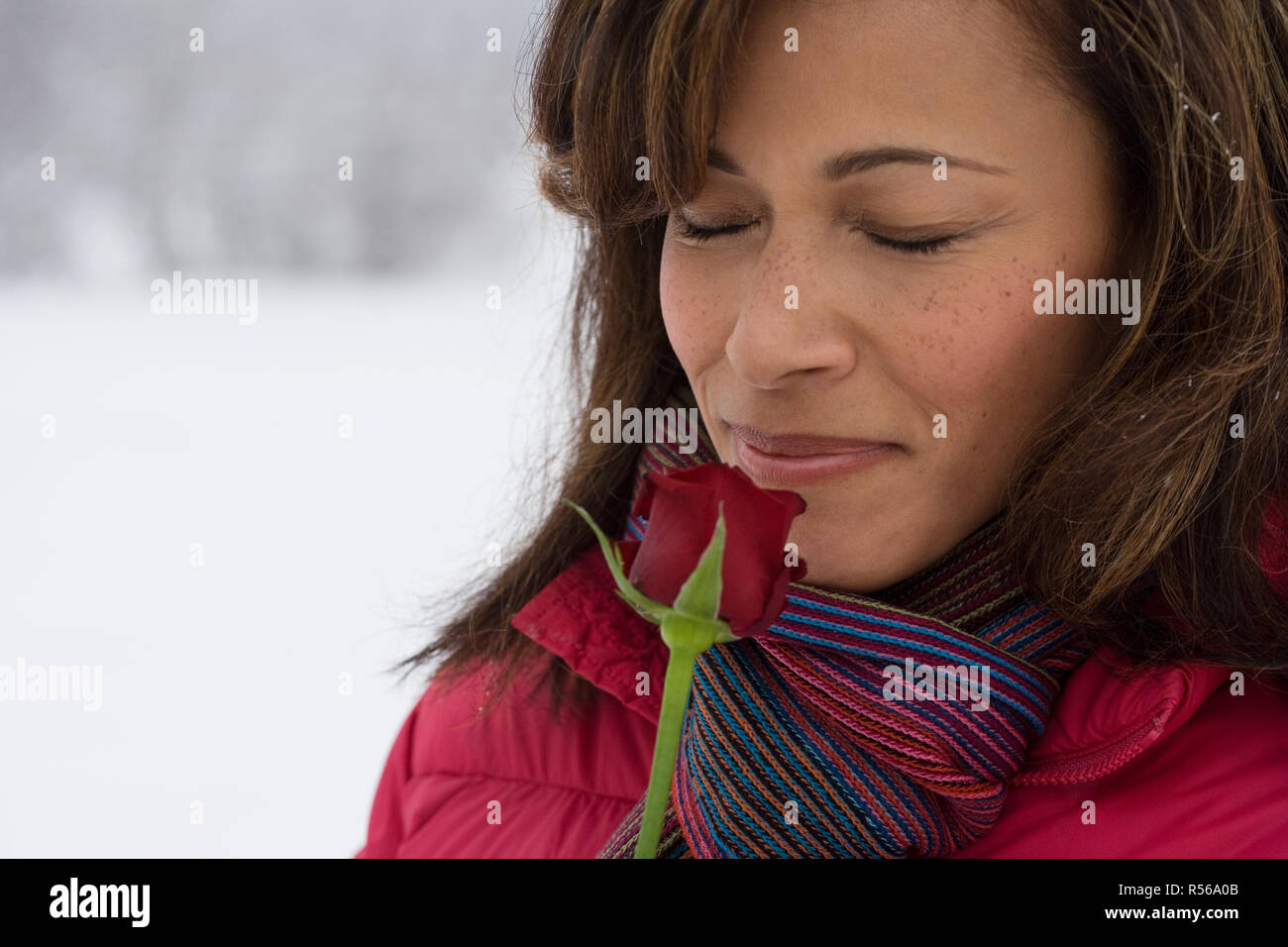 Mature woman smelling a rose Stock Photo - Alamy