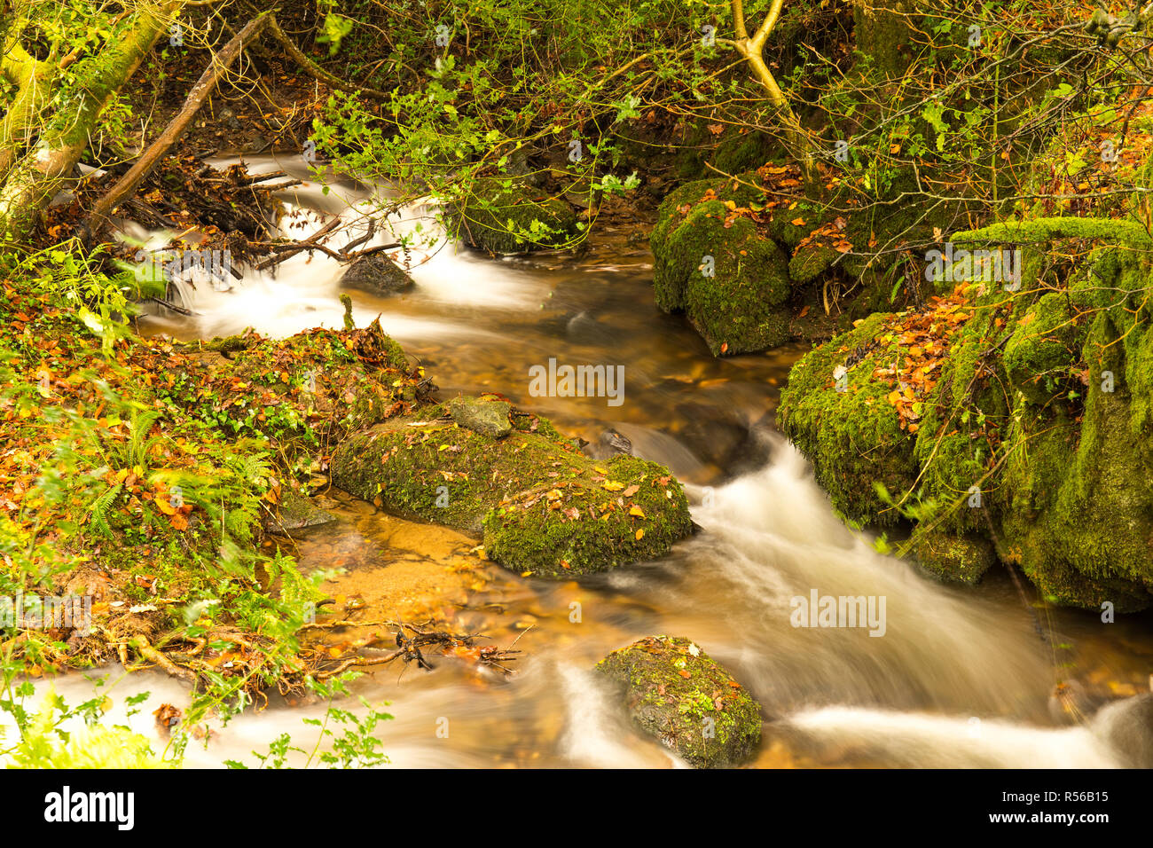 beautiful Dartmoor national park in Devon , England Stock Photo