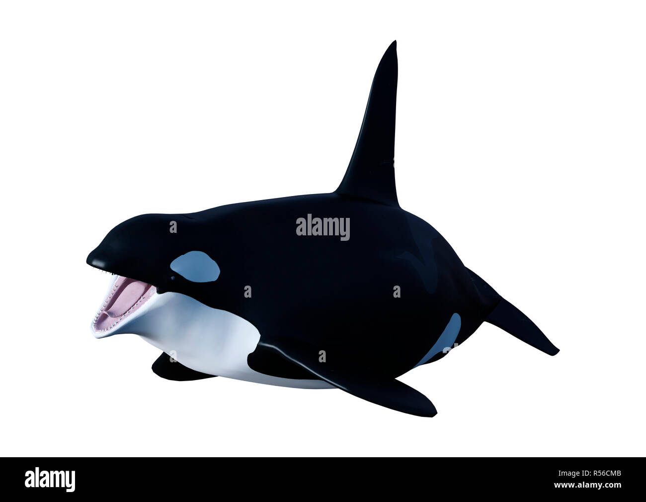 3d rendering killer whale orca hi-res stock photography and images - Alamy