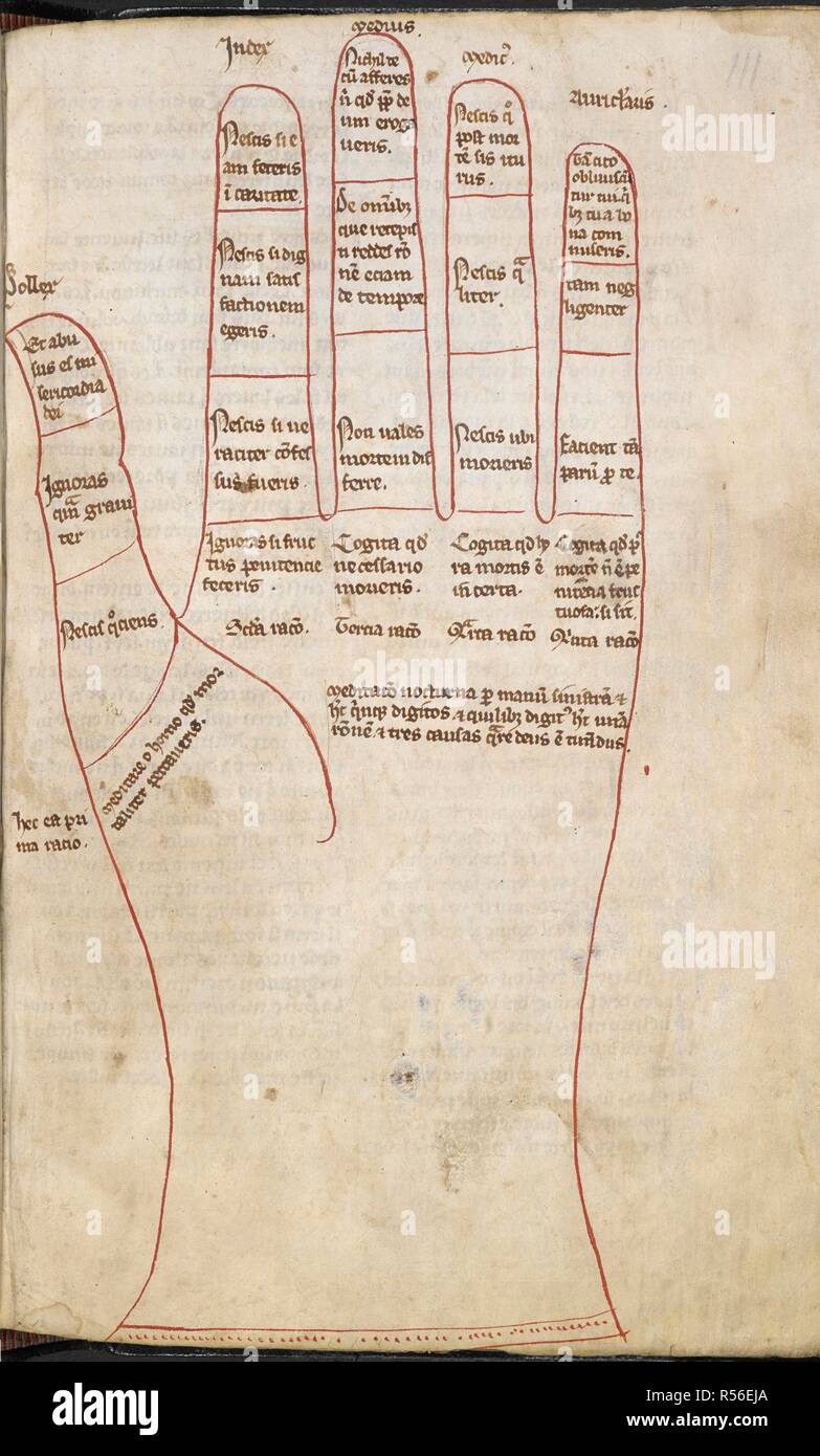 An ink diagram of a left hand, inscribed with suggestions for nightly meditations. Miscellany, including a calendar, Psalter with prayers and Hours of the Virgin, imperfect, Bestiaire d'amour; Rules, and the Chronicle of Turpin. England, S. W. (Ludlow, in part ?); between 1314 and 1328. Source: Harley 273, f.111. Language: French. Stock Photo