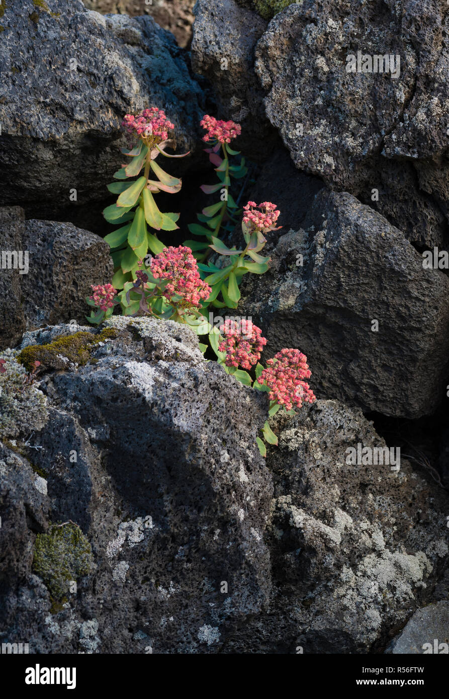 Lava chunks hi-res stock photography and images - Alamy