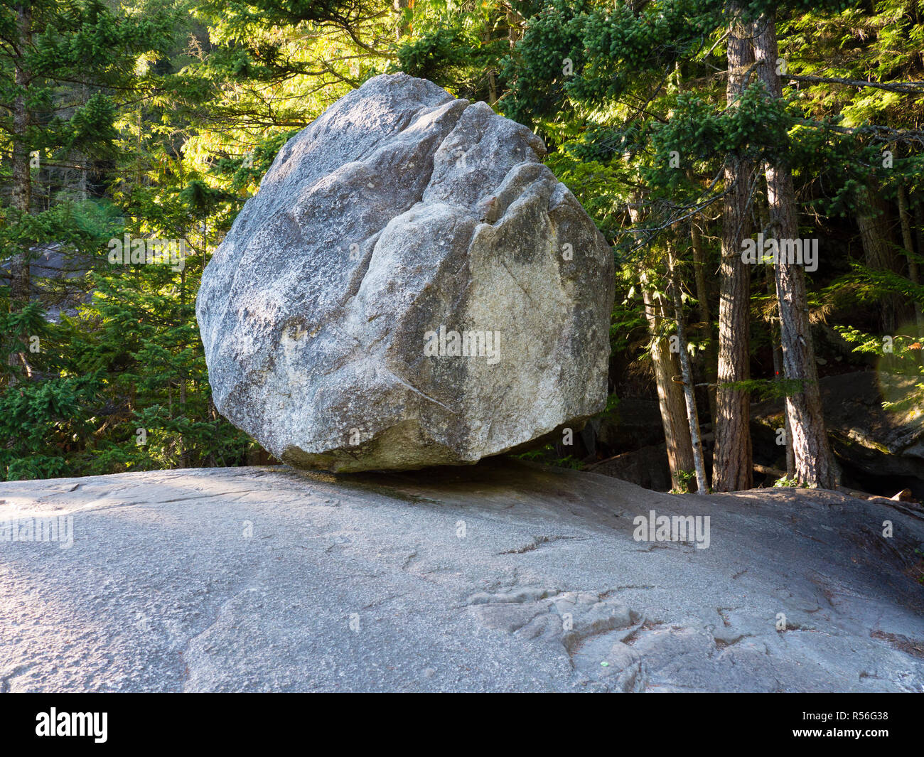 Erratic boulder on the trail of the Chief in Squamish, BC, Canada Stock
