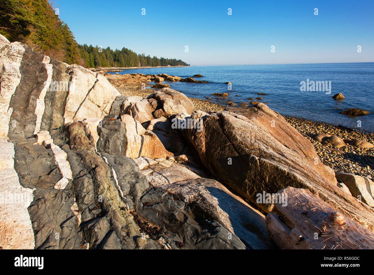 Diabase dike intrusion, Browning Beach, Sechelt, British Columbia, Canada Stock Photo