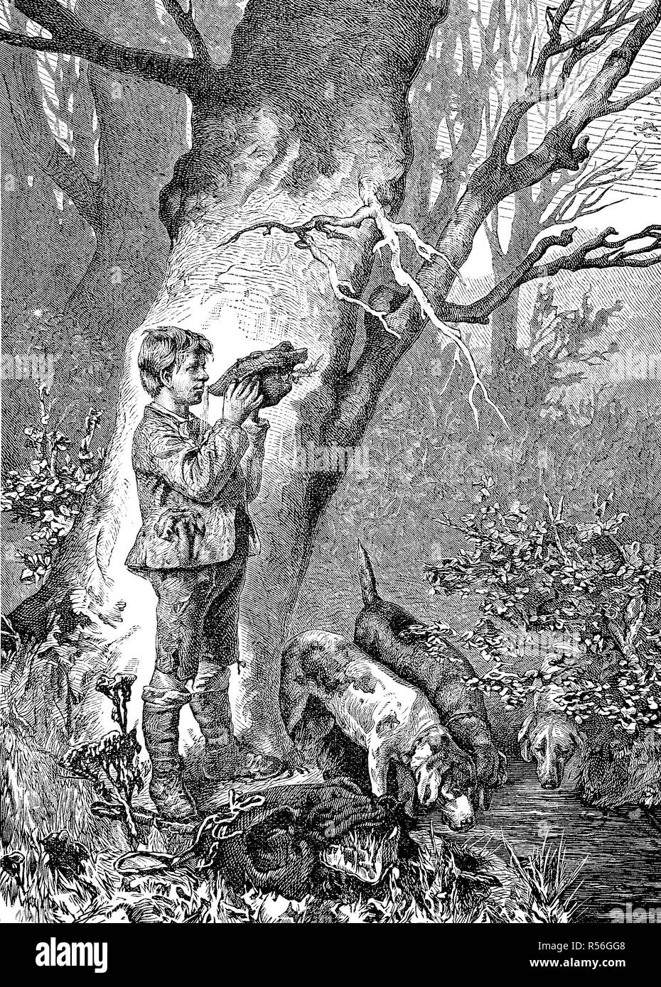 Thirst, boy and his three dogs drinking water from a stream in the forest, 1880, woodcut, Germany Stock Photo