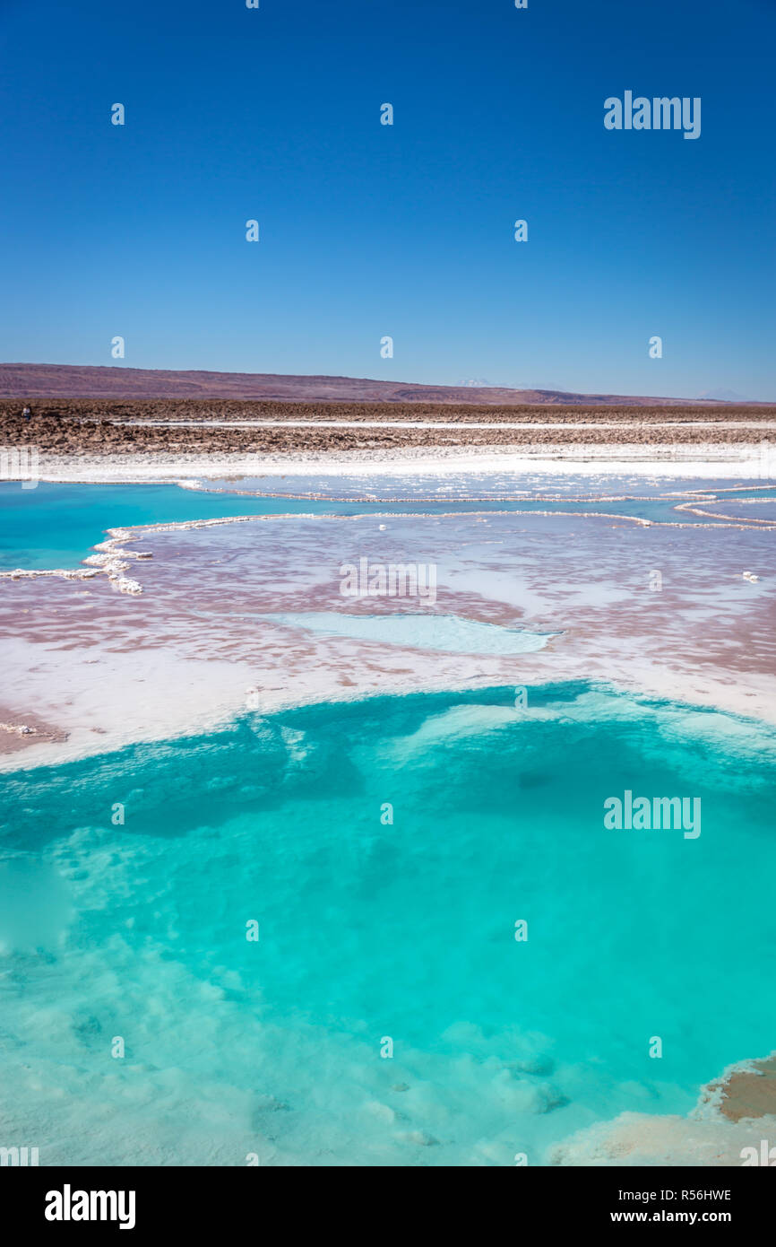 Beautiful blue water lagoon in the middle of the Atacama Desert in Chile Stock Photo