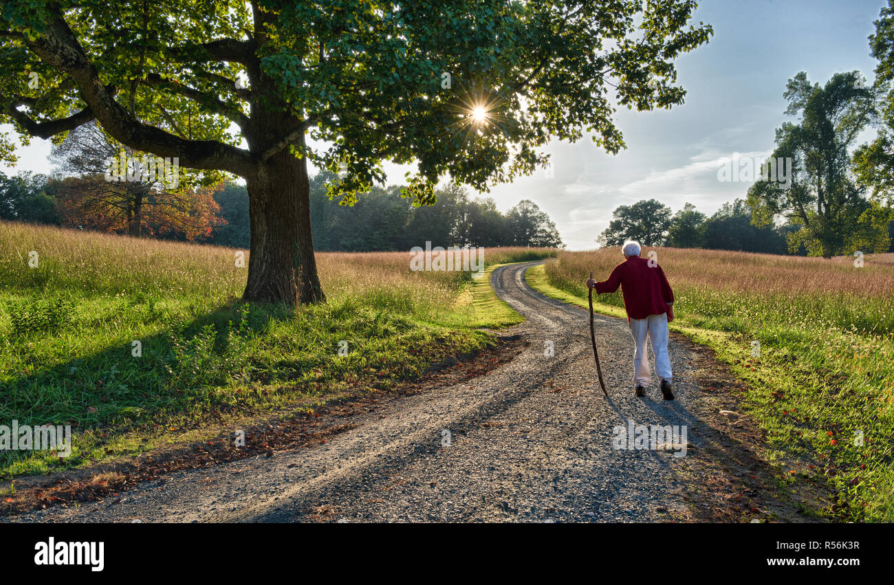Elderly man with cane walking up a lane leading to a farm in central Virginia in early September. Stock Photo
