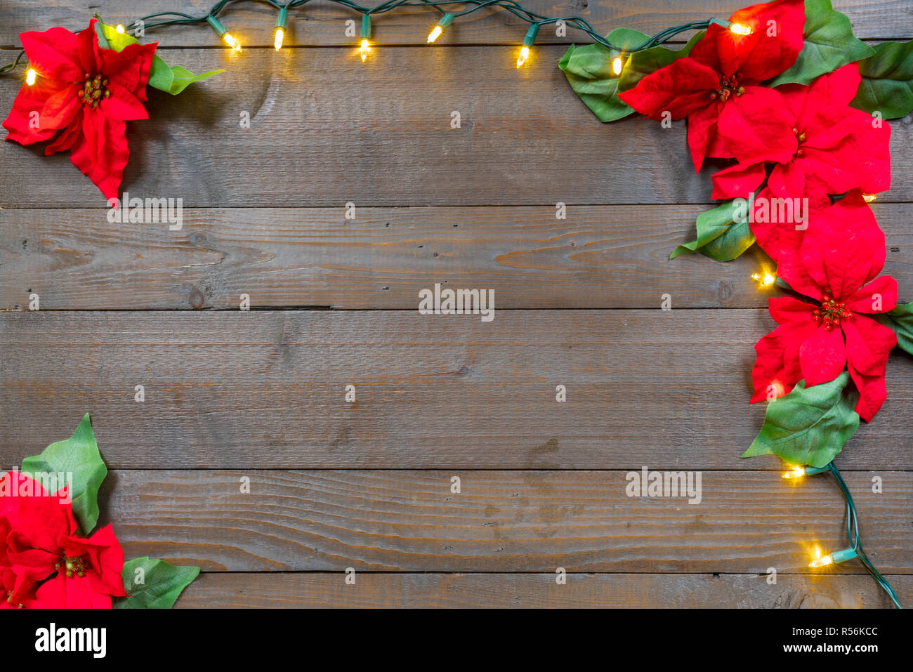 Christmas poinsettia flowers on wooden planks background with lights Stock Photo