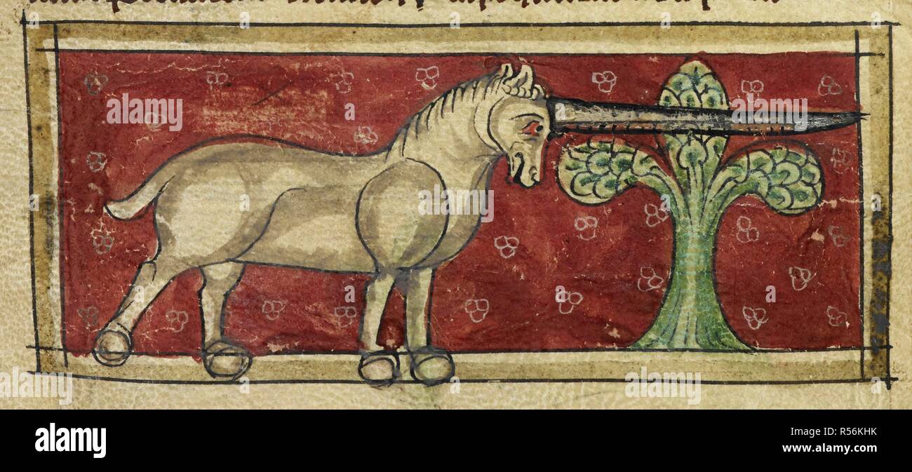 Miniature of a monoceros. Bestiary. England, 2nd or 3rd quarter of the 13th century. Source: Sloane 3544 f. 9v detail. Author: ANON. Stock Photo