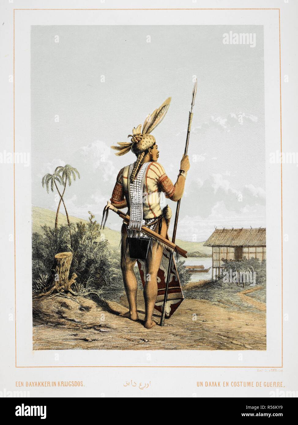A Dayak. An indigenous native of Borneo, wearing a warlike costume, and  bearing weapons. . Nederlandsch Oost-Indischen Typen. Types Indiens  Neerlandais. ... S' Gravenhage, 1854-56. Colour illustration. Source:  1781.c.23, plate 42. Language: