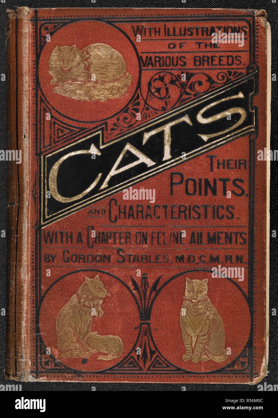 Illustrated front cover showing cats. â€œCatsâ€ ; their points and