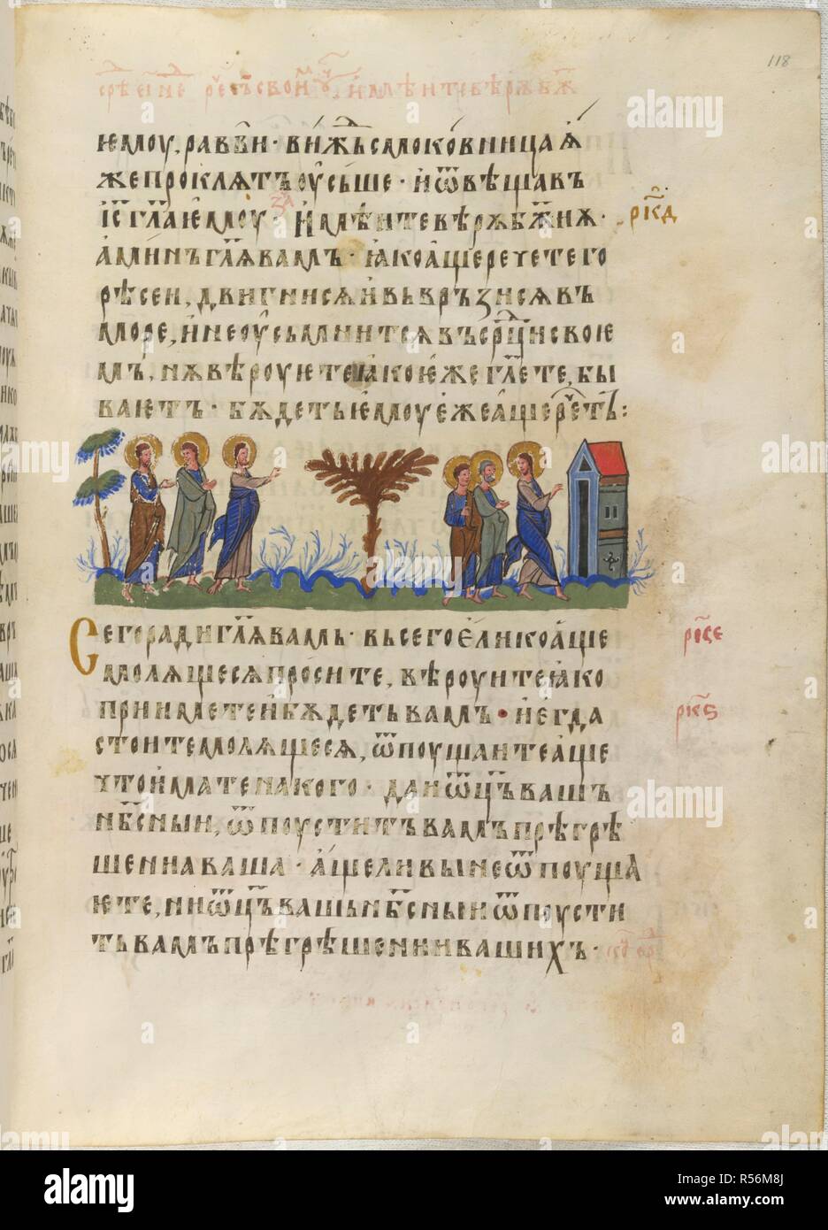 Planta biblia hires stock photography and images Alamy