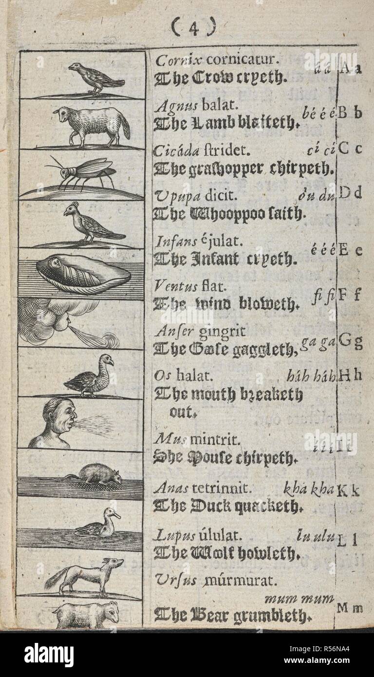 The first part of the alphabet (A-M) with illustrations . J. A. Commenii Orbis sensualium pictus: hoc est, Omnium fundamentalium in mundo rerum & in vitaÌ‚ actionum, pictura & nomenclatura ... A work newly written by the author in Latine and High Dutch, ... & translated into English by Charles Hoole. Lat. and Engl. London, 1659. Source: E.2116.(1.), f.4. Stock Photo