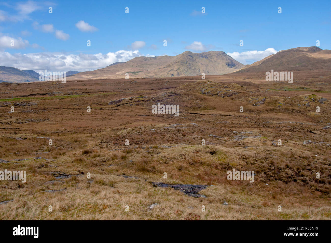County Galway Ireland bog land and heather with mountains in Connemara on a sunny day with blue sky. Stock Photo