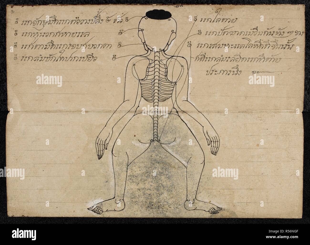 Thai medical diagram showing the pressure points on a Human body. Massage  treatise. Thailand, 1800 - 1850. Paper folding book (samut khoi).  Dimensions: 355 mm x 127 mm. Script: 4 lines per