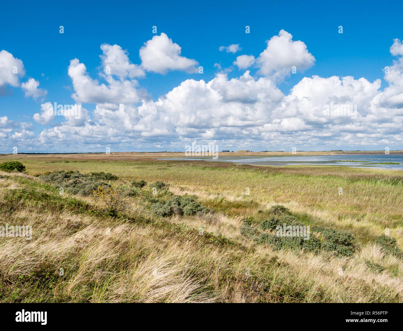 Panorama of salt marshes of Mokbaai, inlet of Wadden Sea on West Frisian island Texel, Netherlands Stock Photo