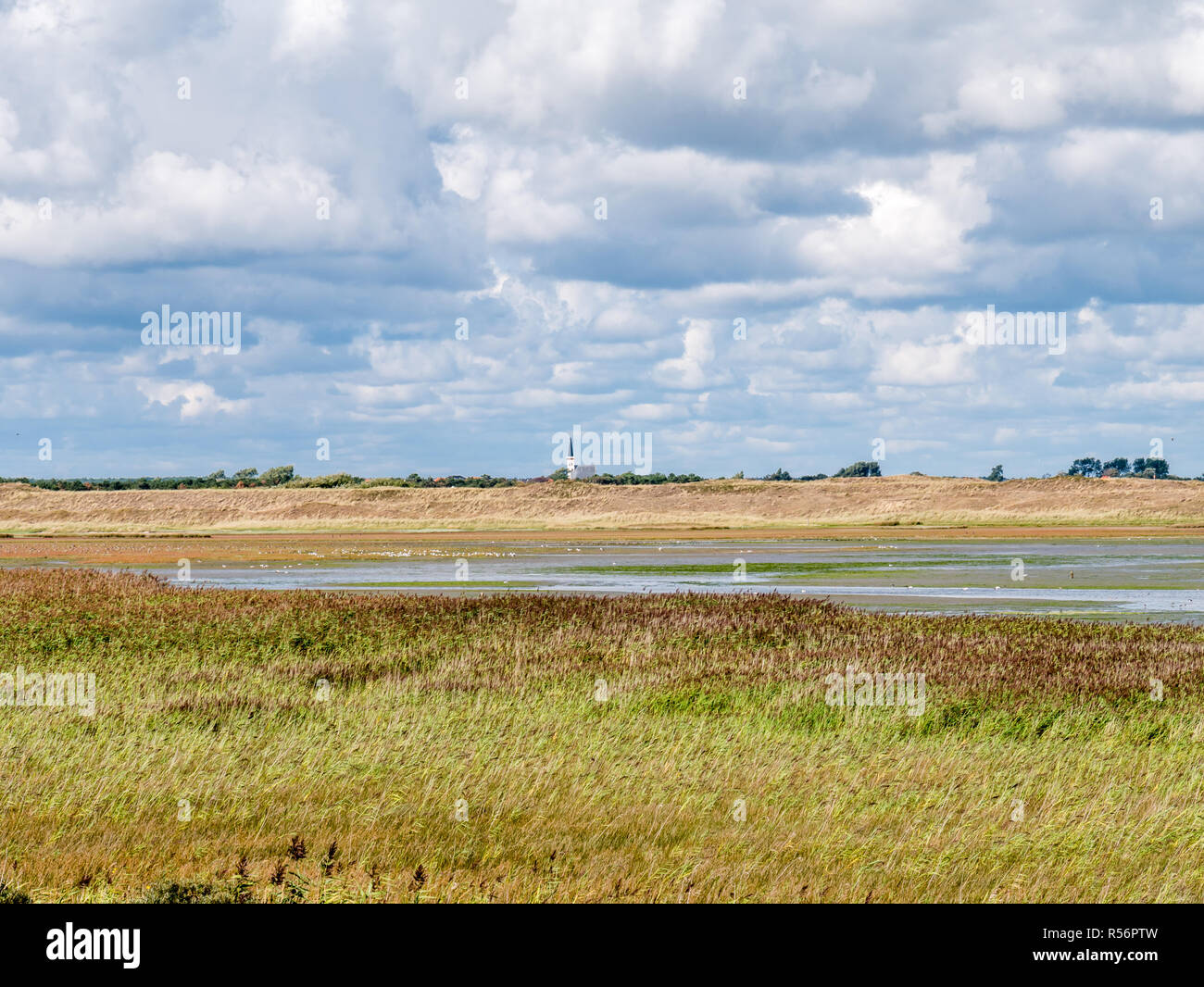 Panorama of salt marshes of Mokbaai, inlet of Wadden Sea on West Frisian island Texel, Netherlands Stock Photo