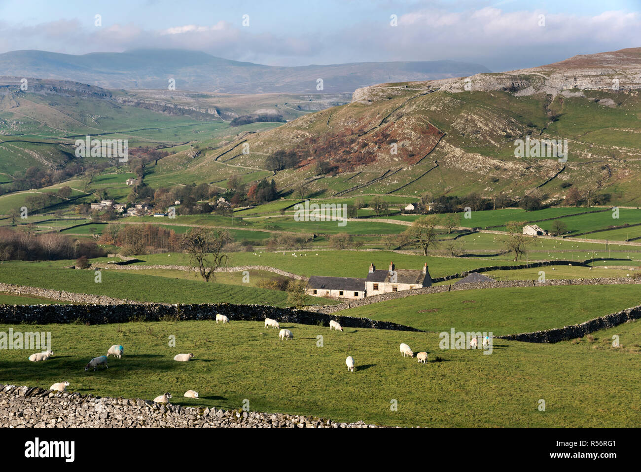 View towards the hamlet of Wharfe, near Austwick, and Ingleborough peak in the Yorkshire Dales National Park, UK Stock Photo