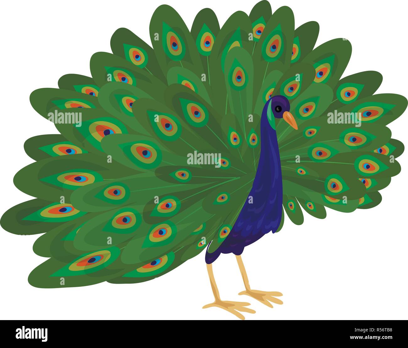 Featured image of post Indian Peacock Vector Design