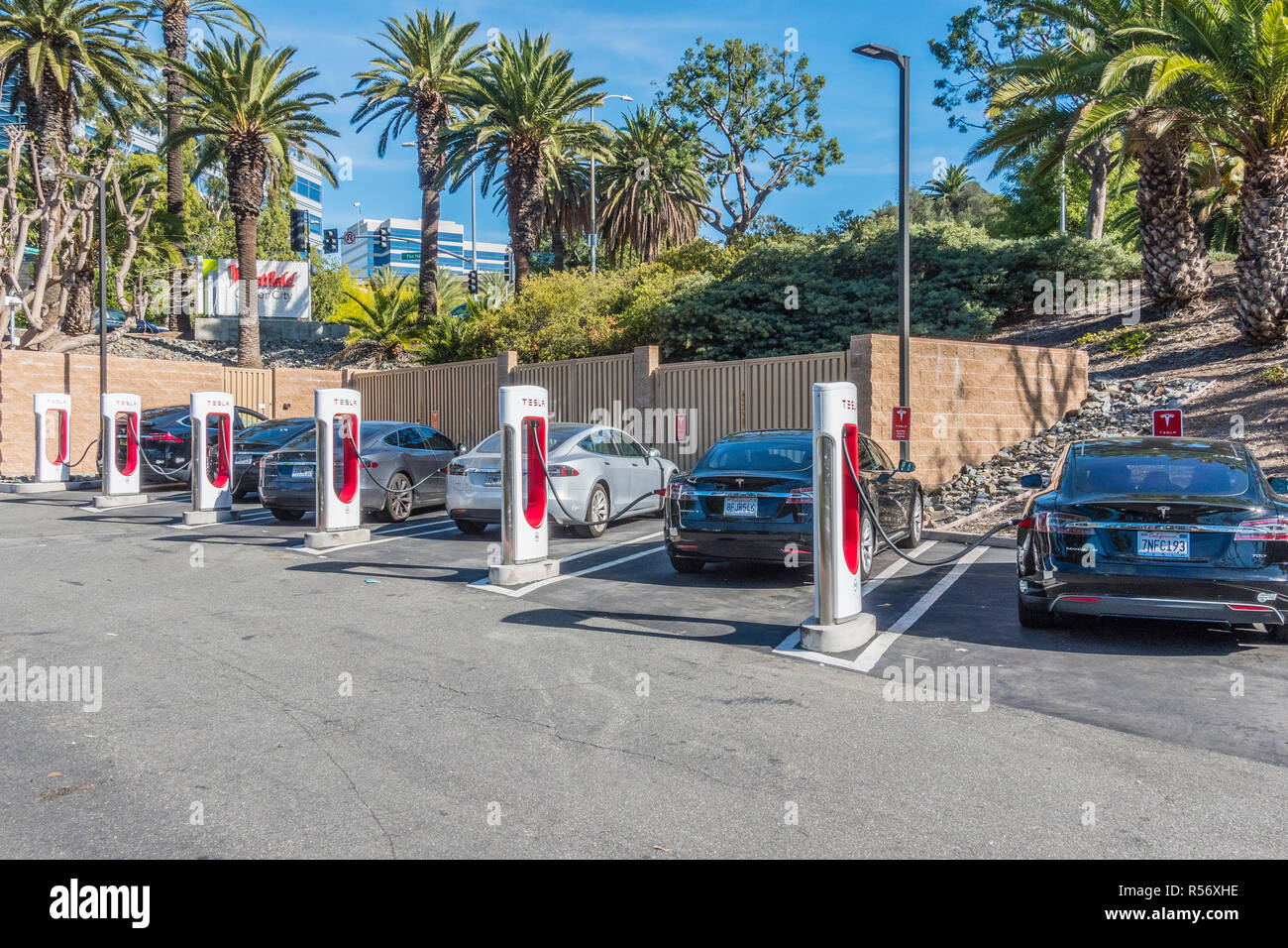Many Tesla electric cars charging at the Tesla supercharging station in