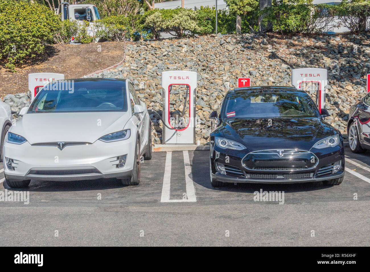 Many Tesla electric cars charging at the Tesla supercharging station in Culver City, California