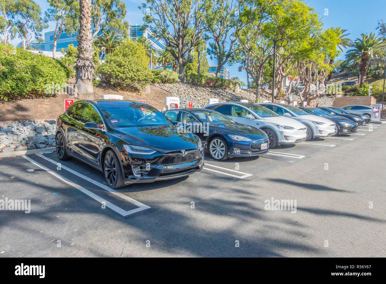 Many Tesla electric cars charging at the Tesla supercharging station in Culver City, California