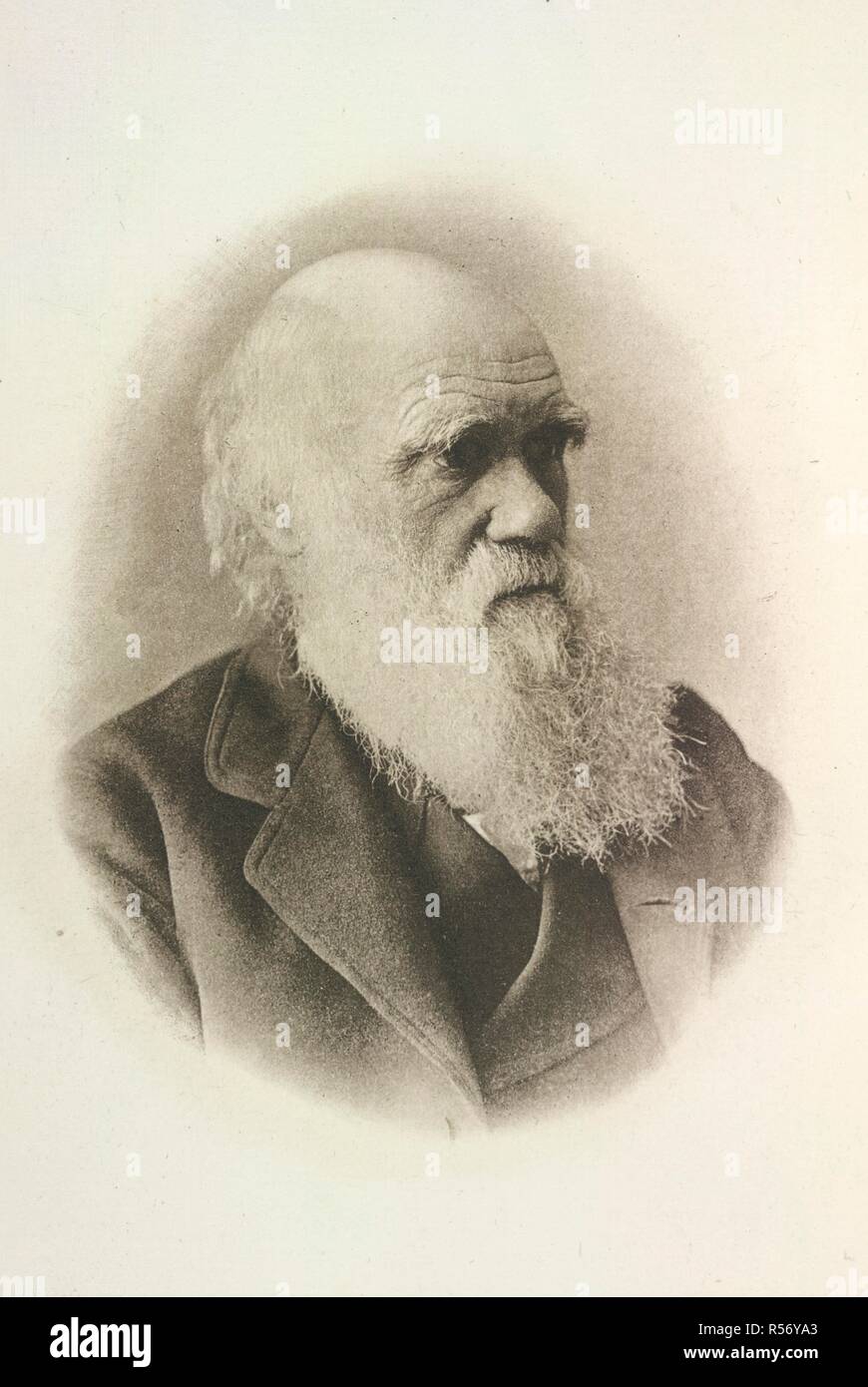 The origin of species by means of natural selectio hires stock